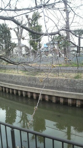 「窓」から考える健康生活（１） その１