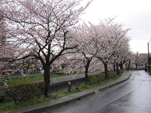 暮らしの危険一括検索 その１
