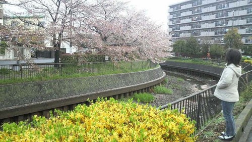 ホームインスペクター その1