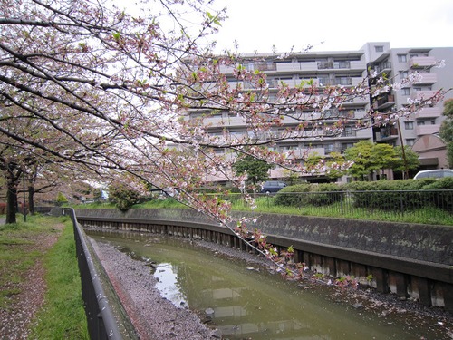 埼玉県のエコポイント促進補助事業 その１