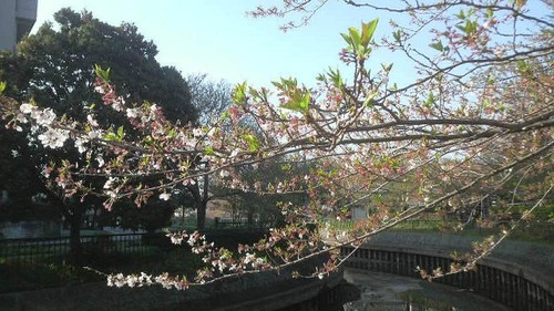 インスペクター講習会 その2