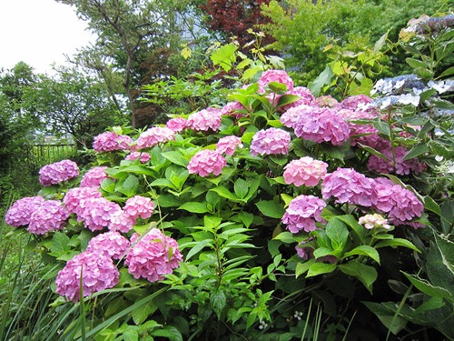 初めての試験監督 その１