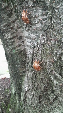 住まいの耐震博覧会 その１