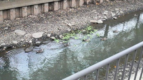 受動喫煙(2) その1