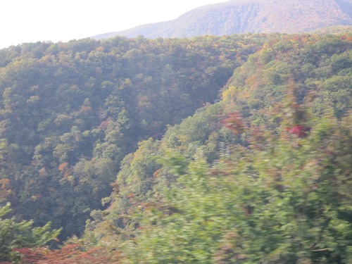 研修旅行(3) その2