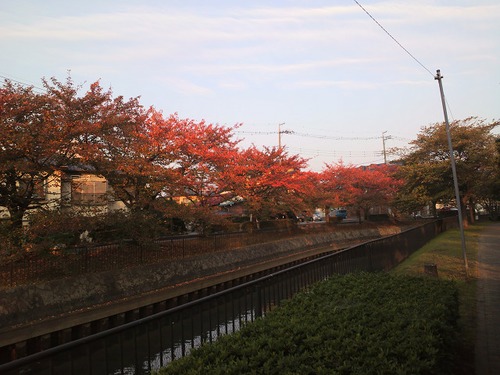 どんぐり銀行 その1