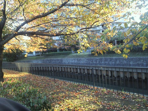 木造文化財 再建ピンチ その1