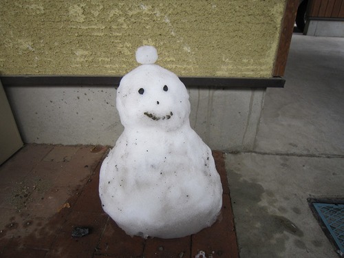 埼玉県の木づかい運動 その１