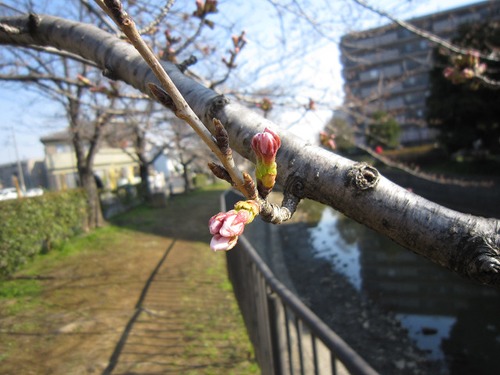 福島原発（２） その１