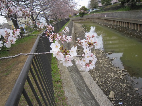 福島原発（６） その１