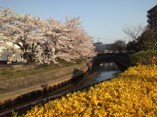 ニガリでアリバリア その１