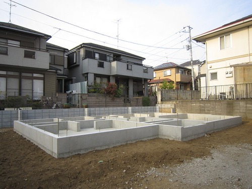 ピンクのじゅうたん その4