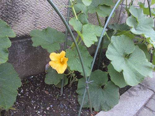 オールアース（１） その１