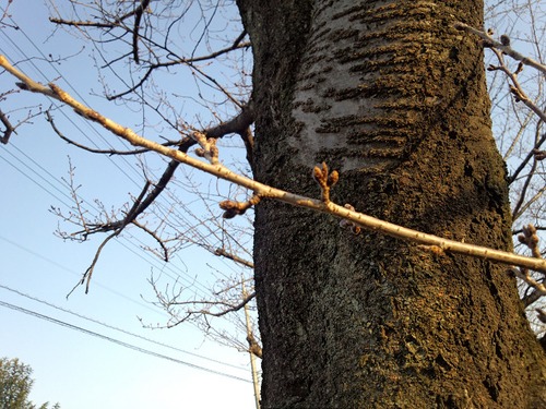 飲酒運転撲滅条例 その1