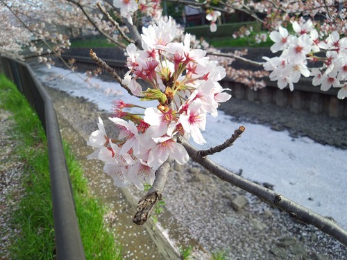 外国のテレビ局の取材動画  その１