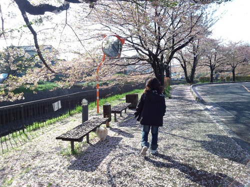 家づくりお得・安心ガイド  その１