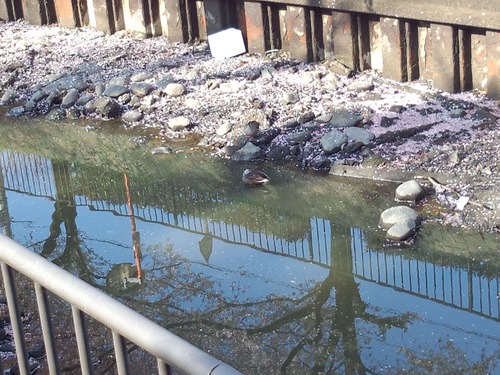 家づくりお得・安心ガイド  その２