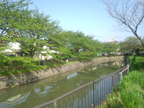 太陽活動、長期低下の兆候か   その１