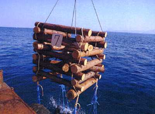 間伐材利用の魚礁で森と海守れ  その１