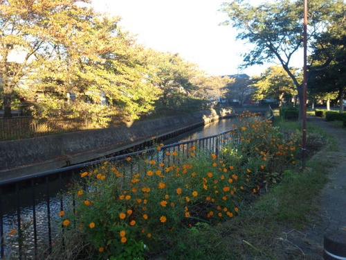 紙の太陽光発電パネルできた その1