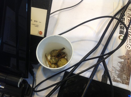 越谷市産業フェスタ   その２