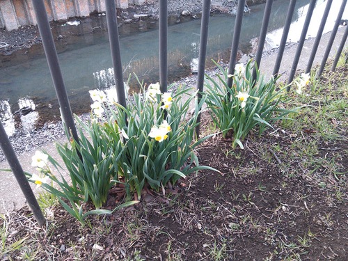 明治期の湖沼をマップ化   その１