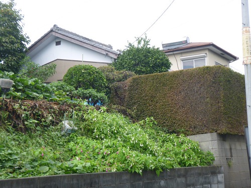 さいたま市T邸完成写真 その2