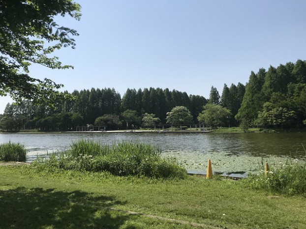 道を挟んで三郷公園が見れます。